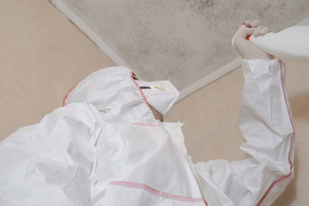 Best Commercial Mold Remediation in Arlington, TX